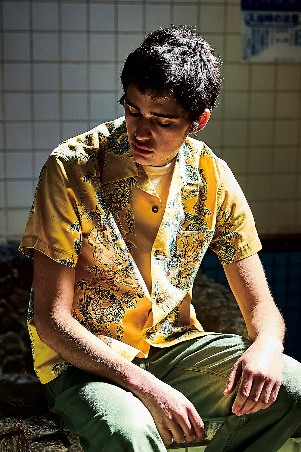 トルネード豚アロハシャツ【5721】