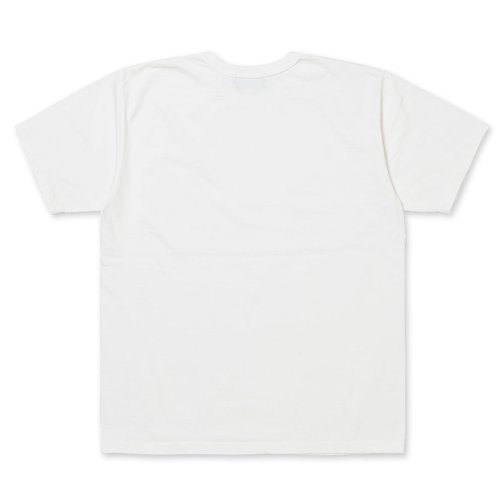 スヴィンゴールド丸胴Tシャツ 【8173】